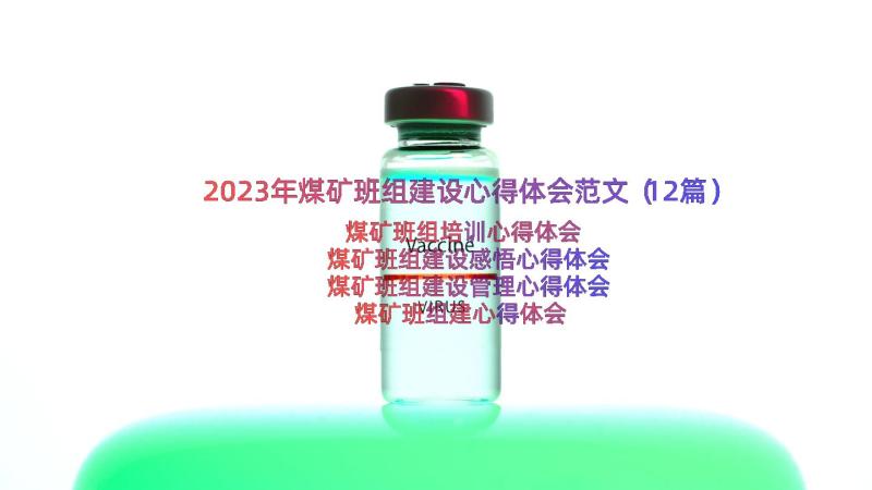 2023年煤矿班组建设心得体会范文（12篇）