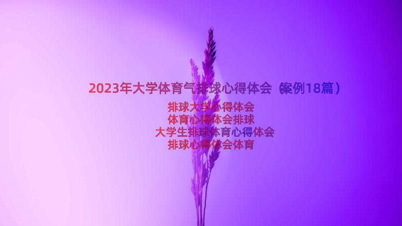 2023年大学体育气排球心得体会（案例18篇）