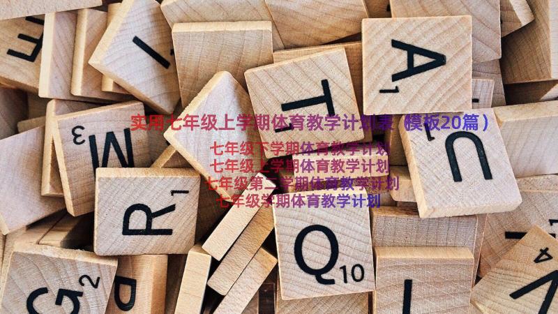 实用七年级上学期体育教学计划表（模板20篇）