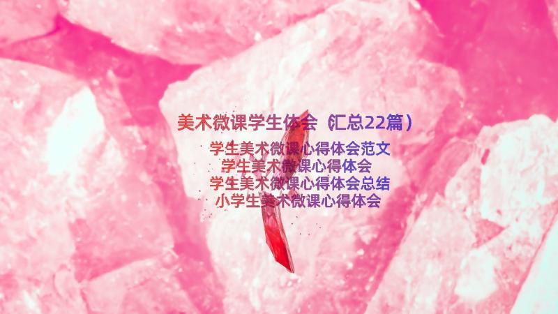 美术微课学生体会（汇总22篇）