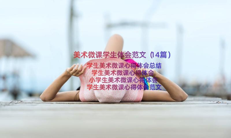 美术微课学生体会范文（14篇）