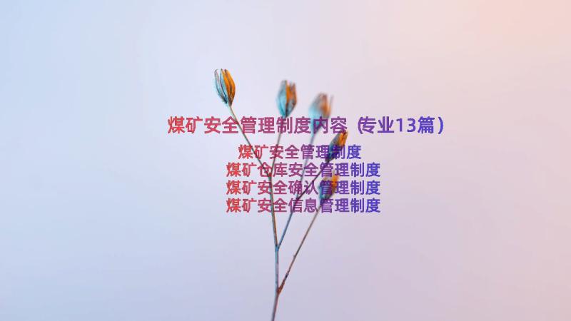 煤矿安全管理制度内容（专业13篇）