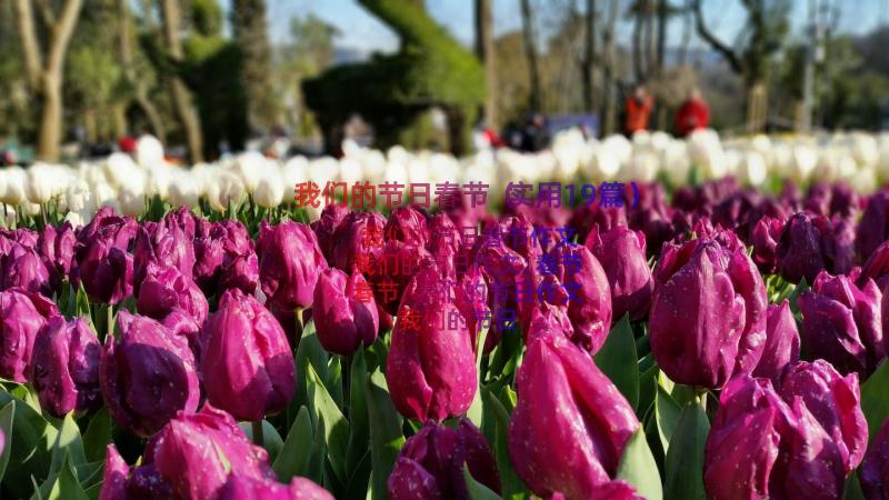 我们的节日春节（实用19篇）