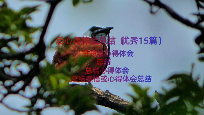 后心得体会总结（优秀15篇）