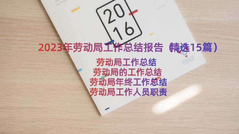 2023年劳动局工作总结报告（精选15篇）