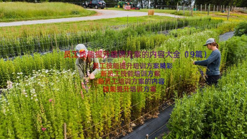 员工技能提升培训方案的内容大全（19篇）