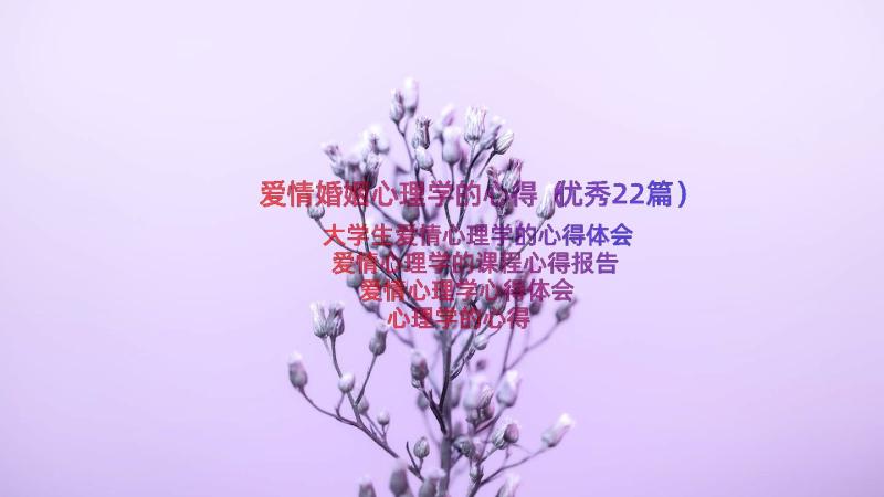 爱情婚姻心理学的心得（优秀22篇）