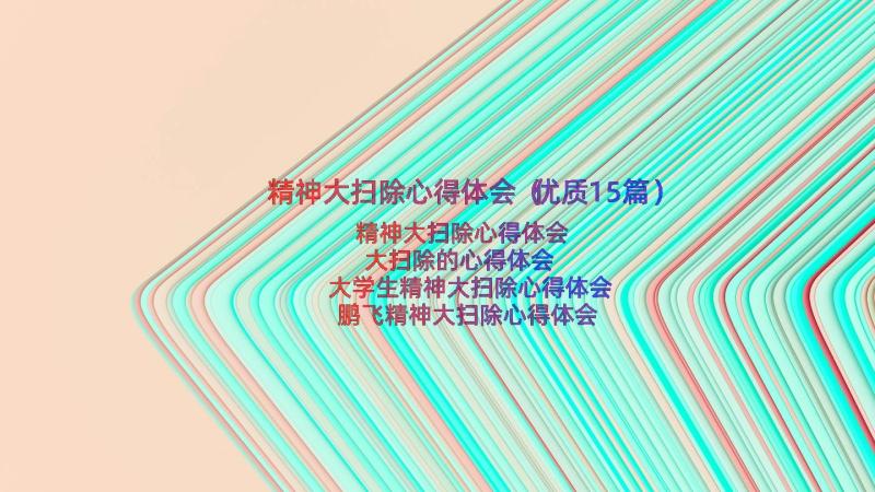 精神大扫除心得体会（优质15篇）