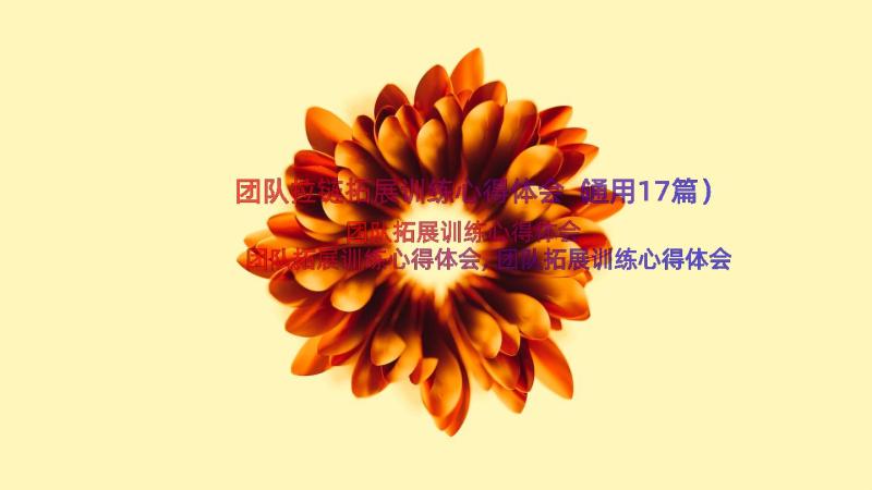 团队拉链拓展训练心得体会（通用17篇）