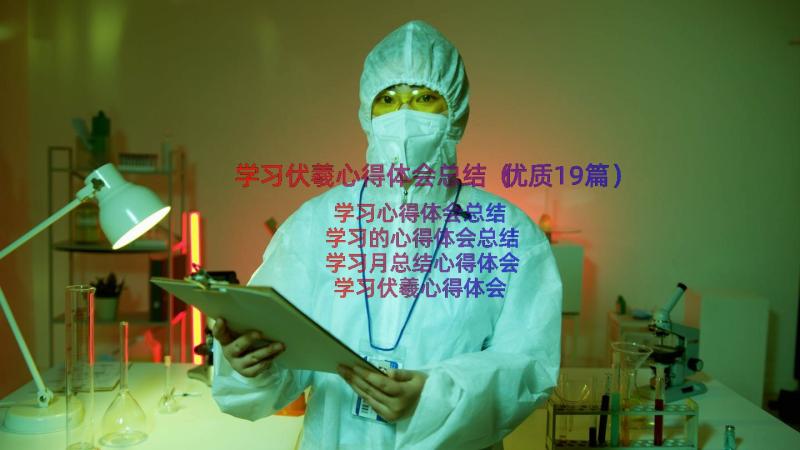 学习伏羲心得体会总结（优质19篇）