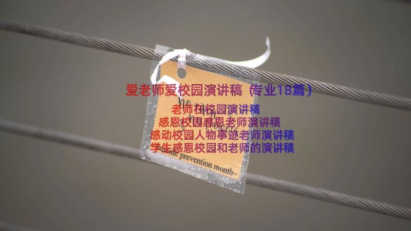 爱老师爱校园演讲稿（专业18篇）