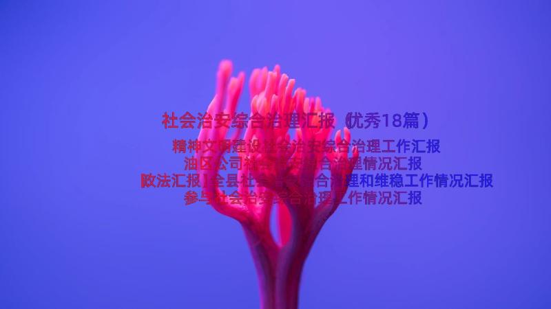 社会治安综合治理汇报（优秀18篇）