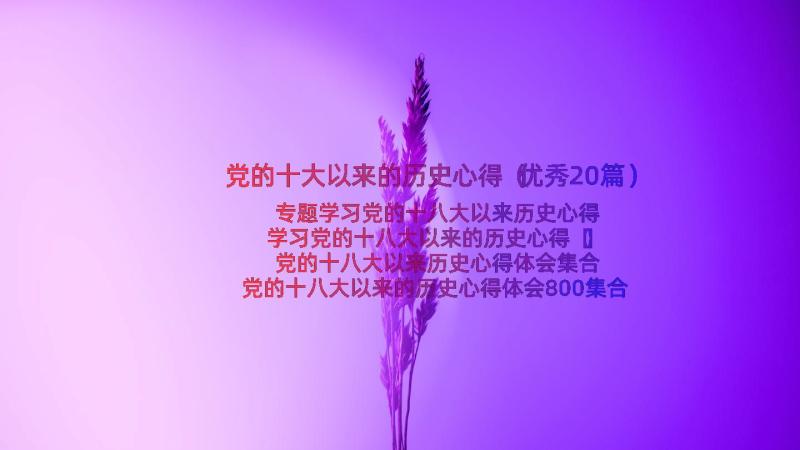 党的十大以来的历史心得（优秀20篇）