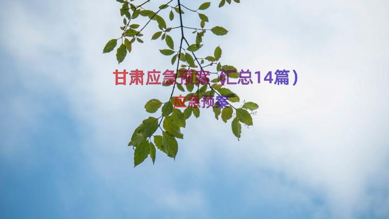 甘肃应急预案（汇总14篇）