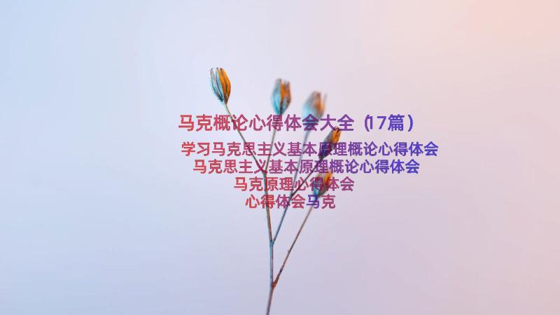 马克概论心得体会大全（17篇）