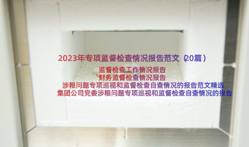 2023年专项监督检查情况报告范文（20篇）