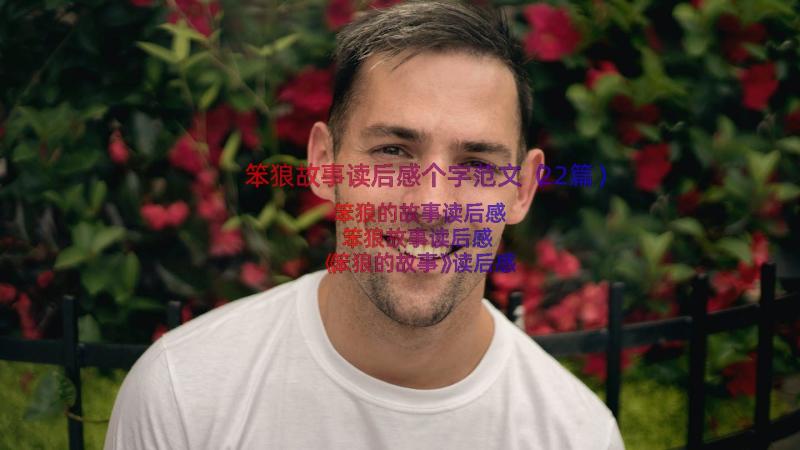 笨狼故事读后感个字范文（22篇）