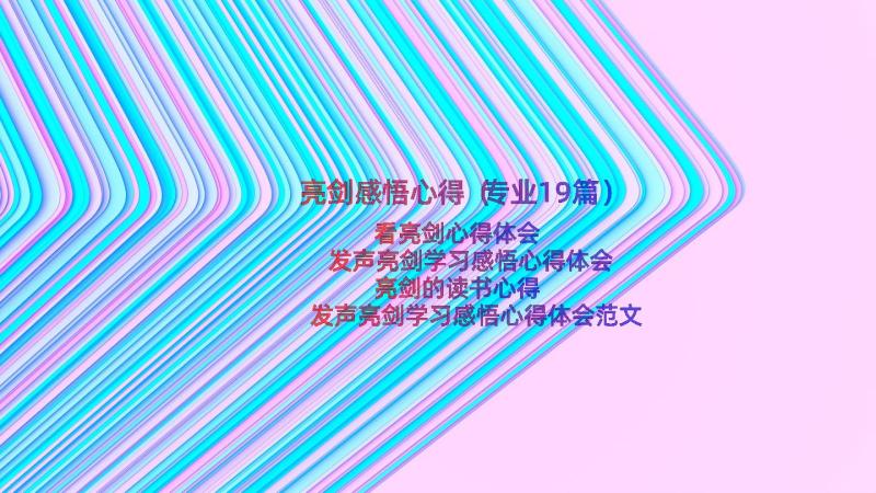 亮剑感悟心得（专业19篇）