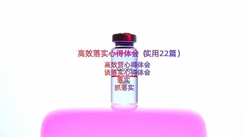 高效落实心得体会（实用22篇）