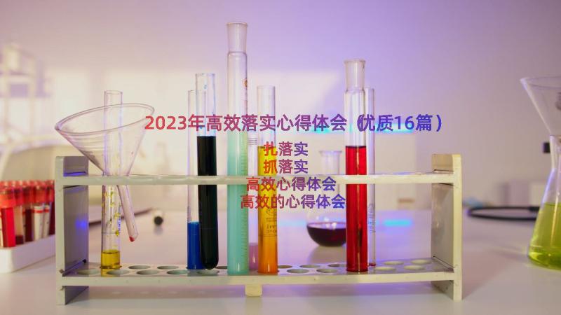 2023年高效落实心得体会（优质16篇）