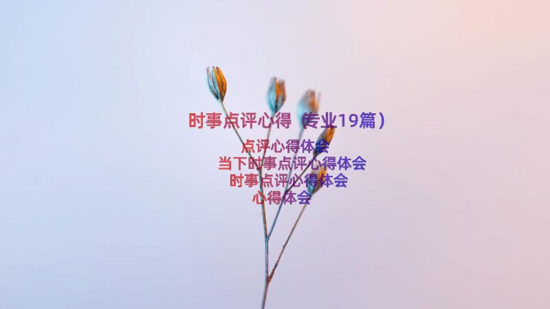 时事点评心得（专业19篇）