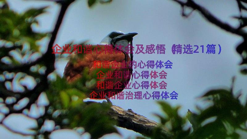 企业和谐心得体会及感悟（精选21篇）