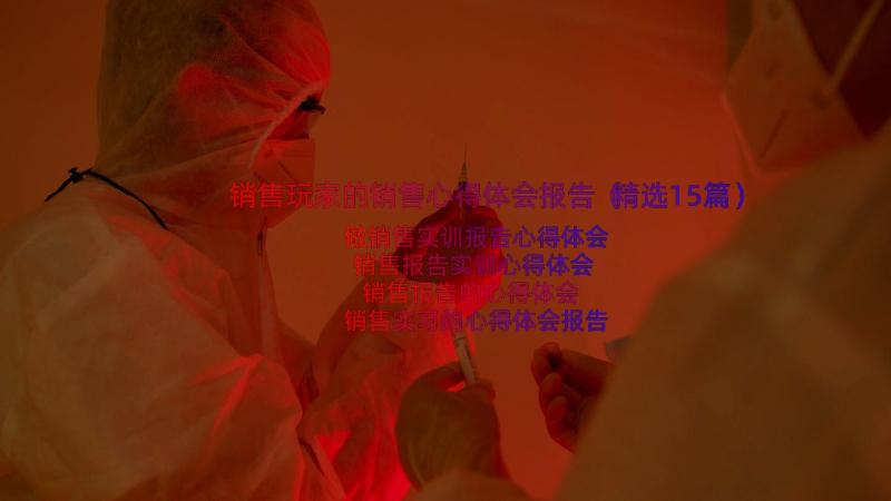 销售玩家的销售心得体会报告（精选15篇）