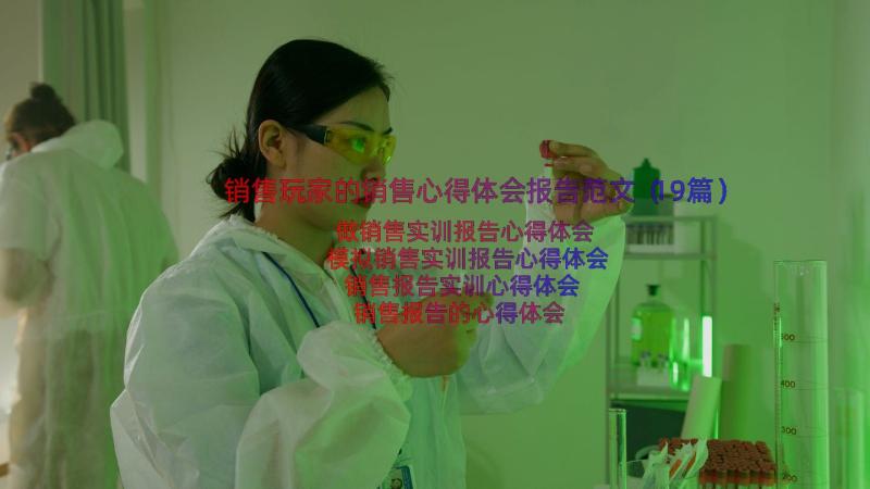 销售玩家的销售心得体会报告范文（19篇）