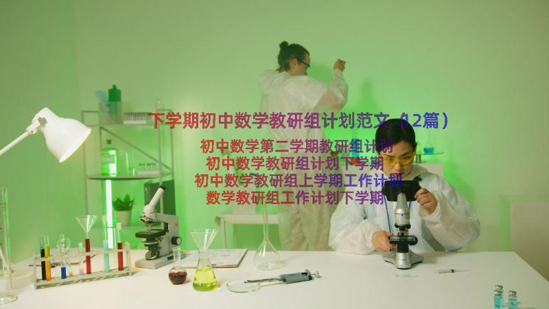 下学期初中数学教研组计划范文（12篇）