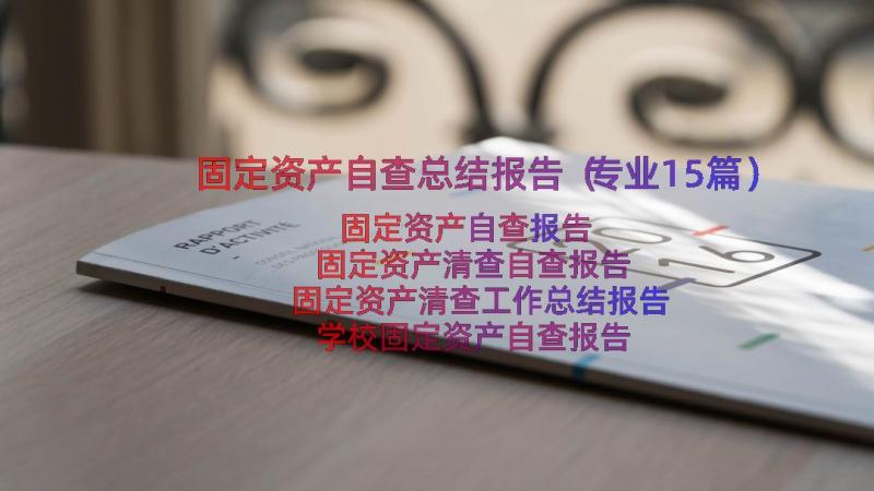 固定资产自查总结报告（专业15篇）