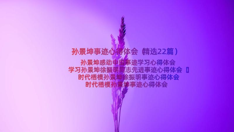 孙景坤事迹心得体会（精选22篇）