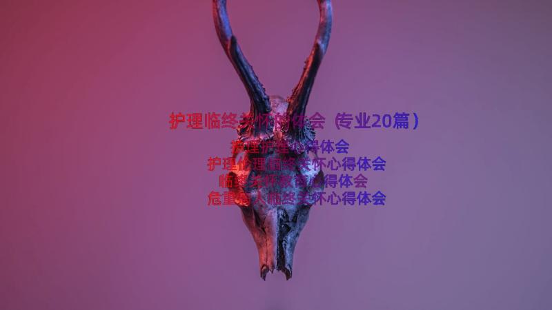 护理临终关怀的体会（专业20篇）