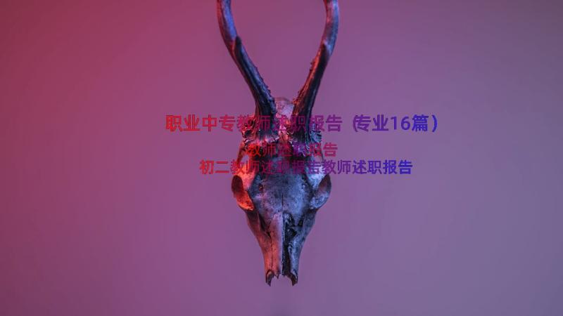 职业中专教师述职报告（专业16篇）