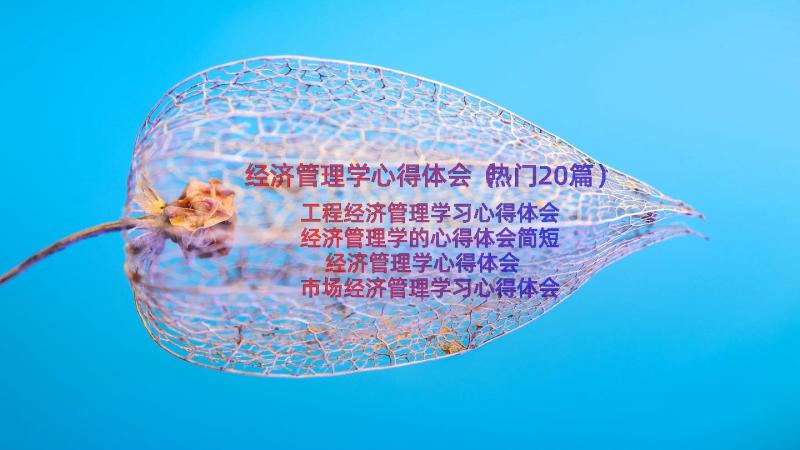 经济管理学心得体会（热门20篇）