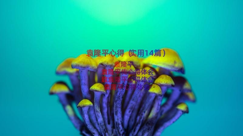 袁隆平心得（实用14篇）