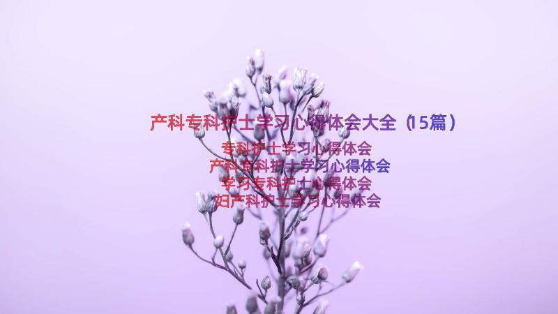 产科专科护士学习心得体会大全（15篇）