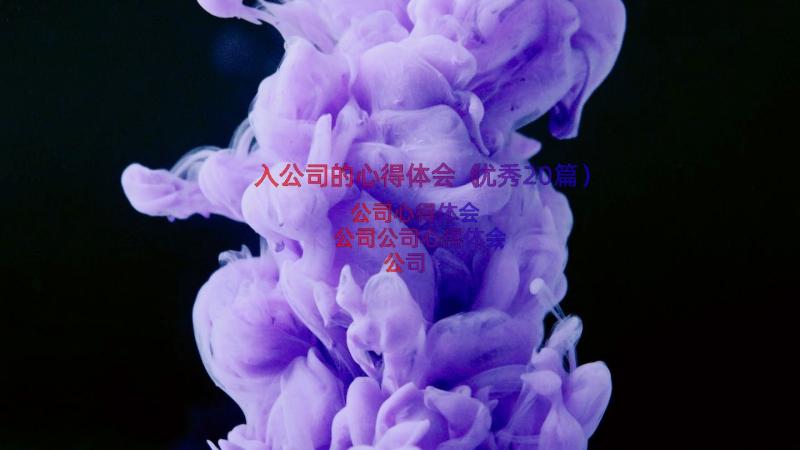 入公司的心得体会（优秀20篇）