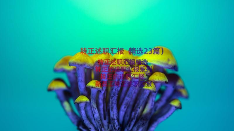 转正述职汇报（精选23篇）