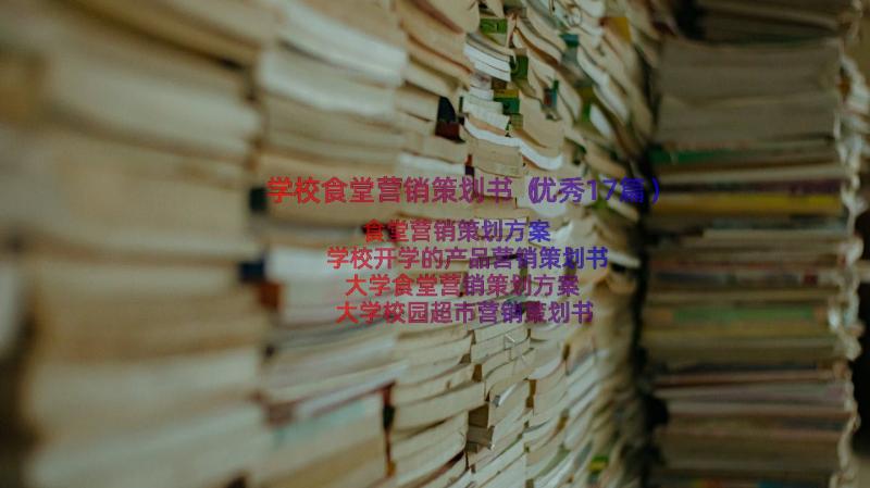 学校食堂营销策划书（优秀17篇）