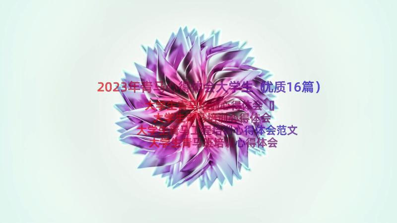 2023年青马心得体会大学生（优质16篇）