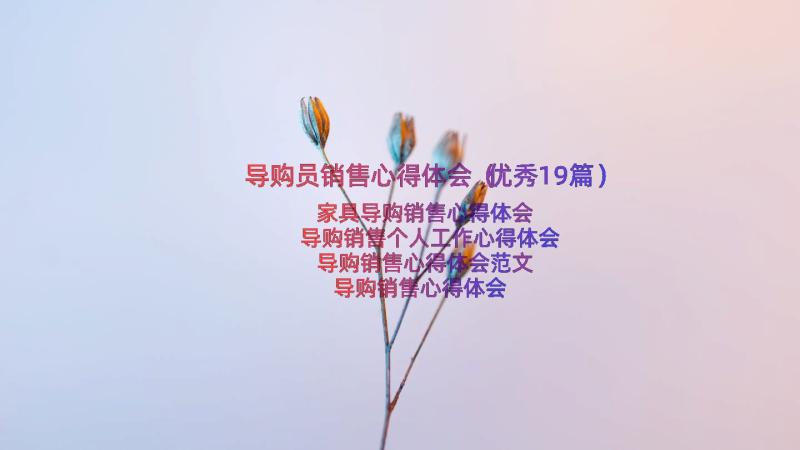 导购员销售心得体会（优秀19篇）