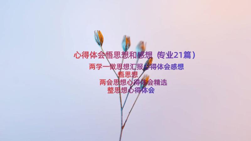 心得体会悟思想和感想（专业21篇）