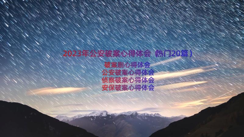 2023年公安破案心得体会（热门20篇）