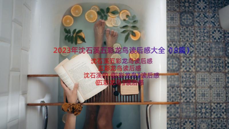 2023年沈石溪五彩龙鸟读后感大全（18篇）