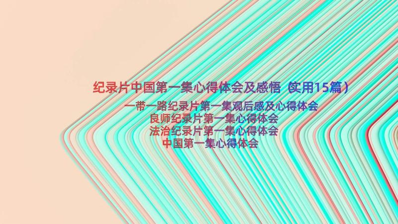 纪录片中国第一集心得体会及感悟（实用15篇）