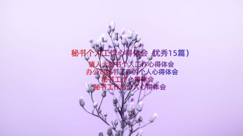 秘书个人工作心得体会（优秀15篇）