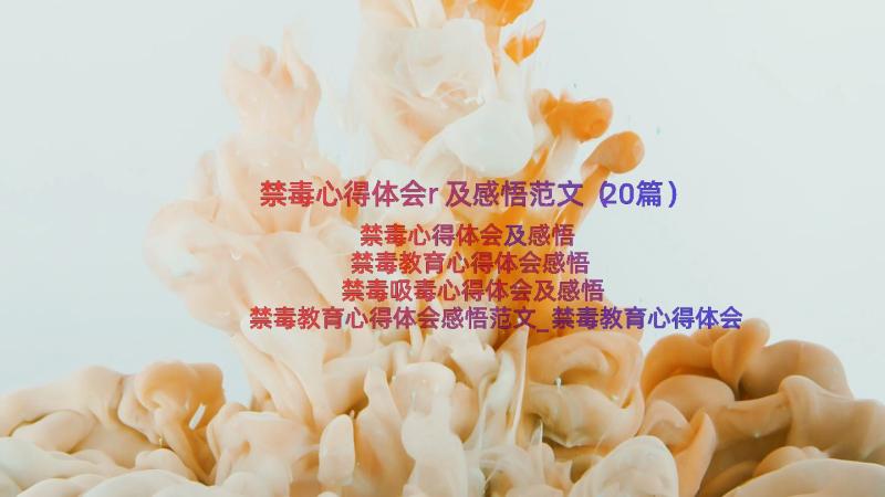 禁毒心得体会r及感悟范文（20篇）