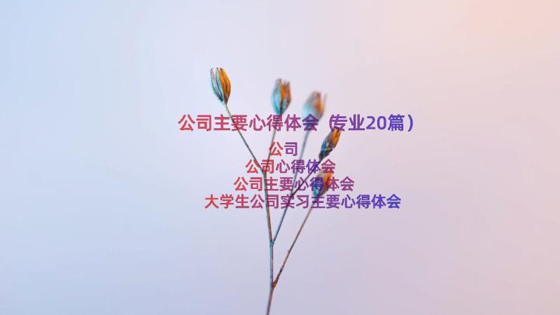 公司主要心得体会（专业20篇）