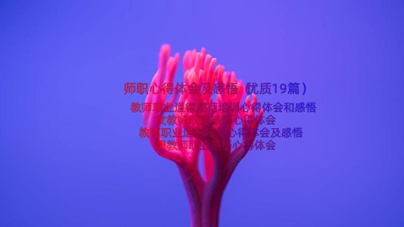 师职心得体会及感悟（优质19篇）