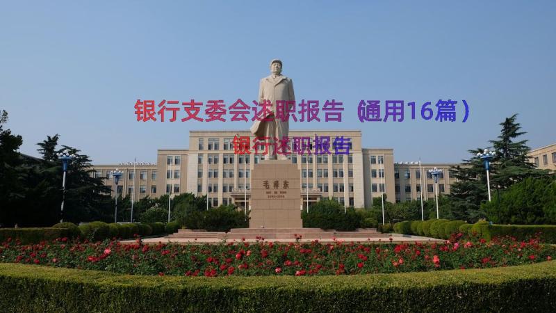 银行支委会述职报告（通用16篇）